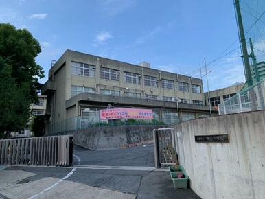 城陽市立寺田小学校