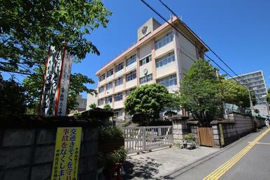 中郡小学校区