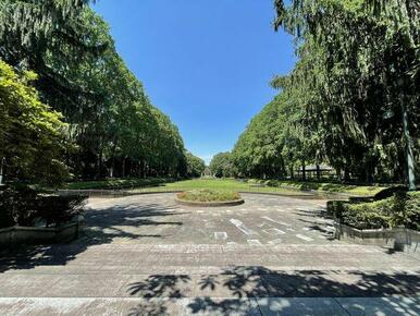 公園