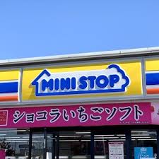 ミニストップ姉ヶ崎迎田店