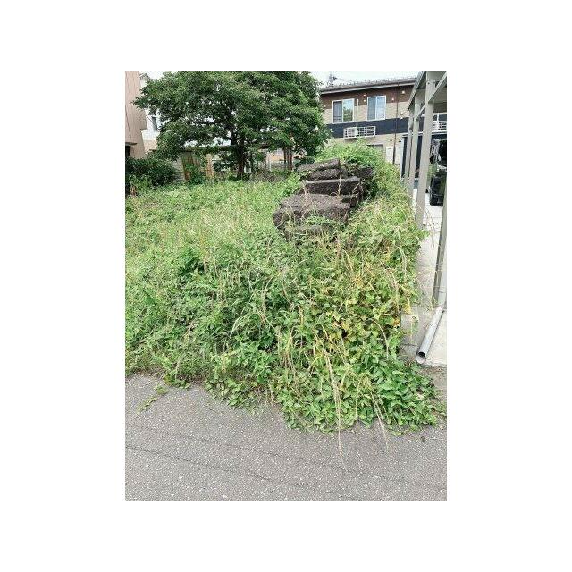 東側境界