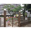 幼稚園、保育園