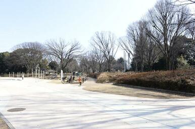 駒沢オリンピック公園