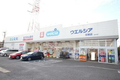 ウェルシア北柏店