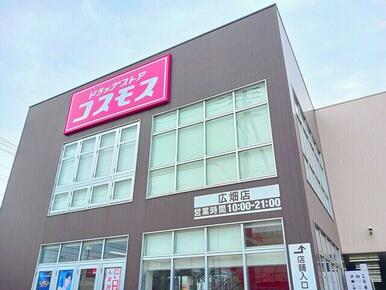 コスモス