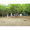 公園