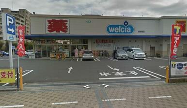 ウェルシア中田店