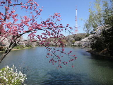 三ツ池公園