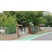 幼稚園、保育園