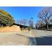 公園