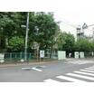 中学校