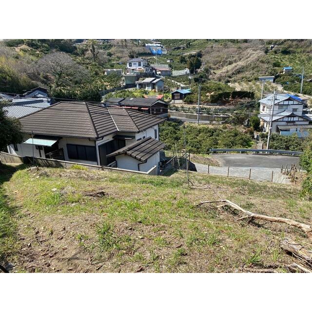 2026年3月撮影