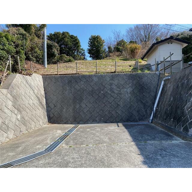 2026年3月撮影