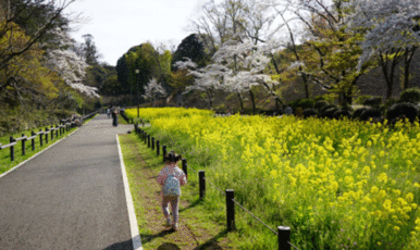 横浜市児童遊園地