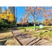 公園
