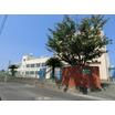 幼稚園、保育園