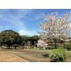 公園