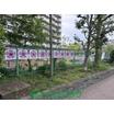 幼稚園、保育園