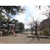 公園