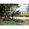 幼稚園、保育園