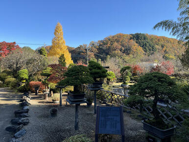 高尾駒木野庭園