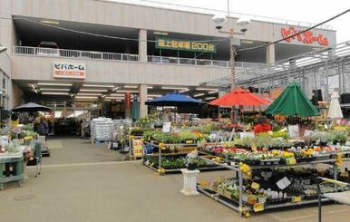 ビバホーム横浜青葉店