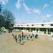 幼稚園、保育園
