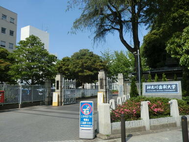 神奈川歯科大学