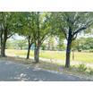 公園