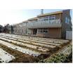 幼稚園、保育園