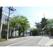 大学