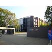 大学
