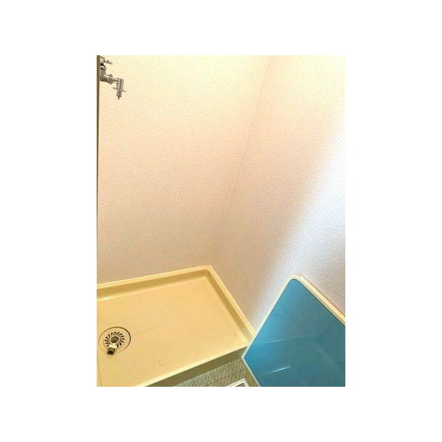 室内洗濯機置き場です