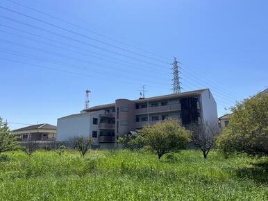 周りは高い建物がないので、日当たり良好です♪