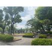 公園