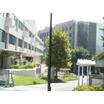 大学