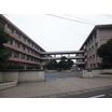 中学校