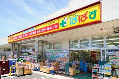 どらっぐぱぱす土支田店