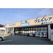 販売店