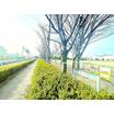 公園
