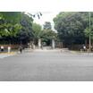 大学