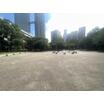 公園
