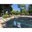 公園