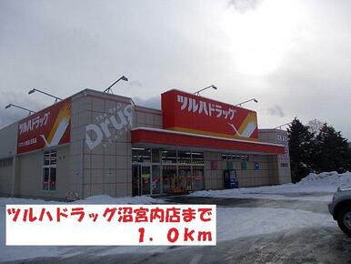 ツルハドラッグ沼宮内店