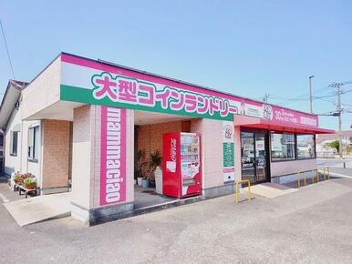 コインランドリー