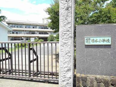 栃本小学校