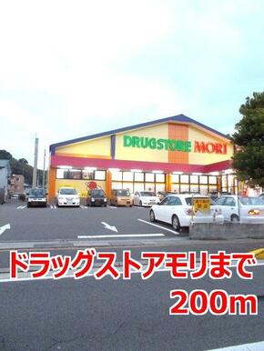 ドラッグストアモリ