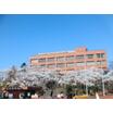 大学
