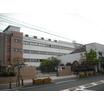 大学