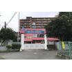 幼稚園、保育園